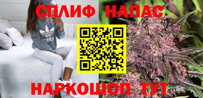 PSILOCYBIN Балахна
