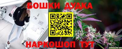 PSILOCYBIN Балахна
