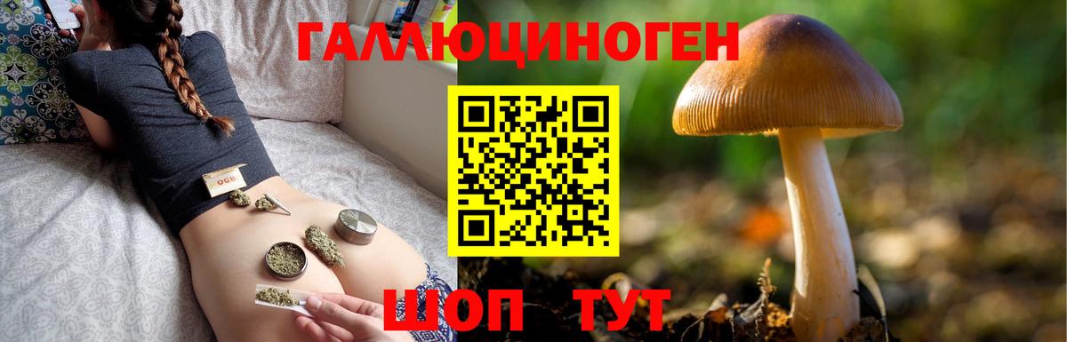 Псилоцибиновые грибы MAGIC MUSHROOMS  Галлюциногенные грибы Cubensis  Гусев  закладка  Вход с VPN 
